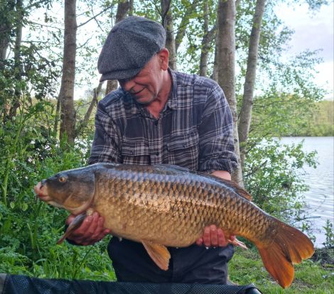 wp-17148312348605144552395436676504