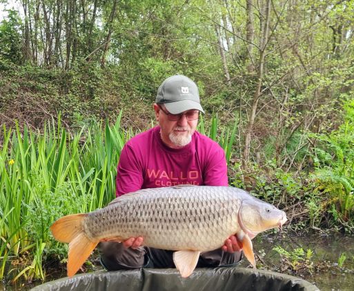 wp-17148312355525489576577261151610