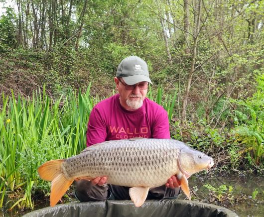 wp-17148312355525489576577261151610