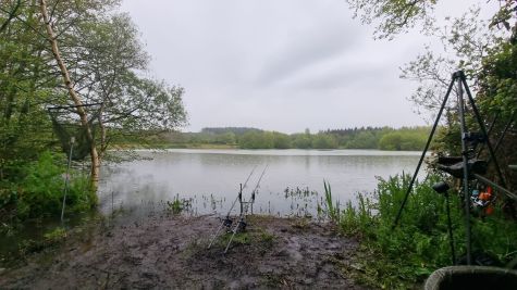 wp-17148313193343122917874839598346