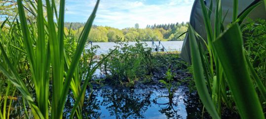 wp-17148313204507408418258094209420