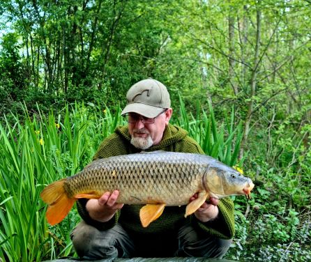 wp-17159495681796720550851715004456