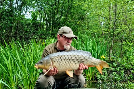 wp-1715949568483611166371317616581