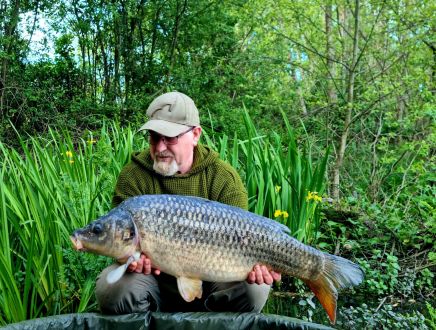 wp-17159495692592161149900348213737