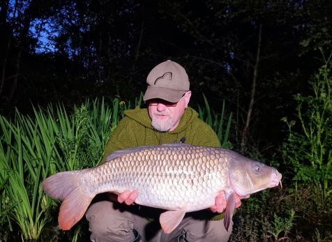 wp-17159495700294460221171891950486