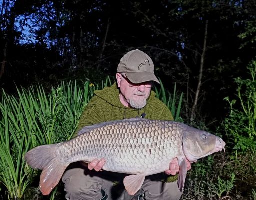 wp-17159495703175455220440325753605