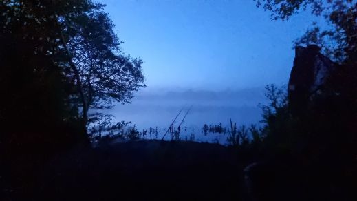 wp-17159496151431511725626974104922