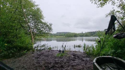 wp-17159496156607121733516295953615