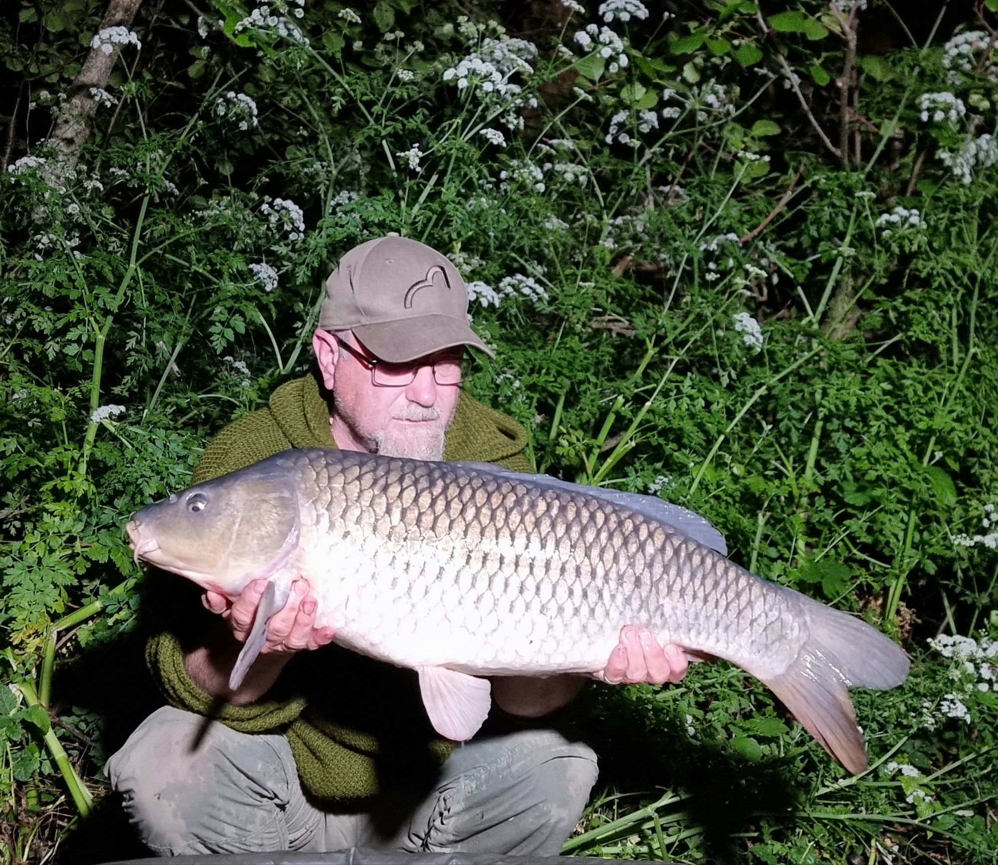 wp-17177729344256875813195708294362