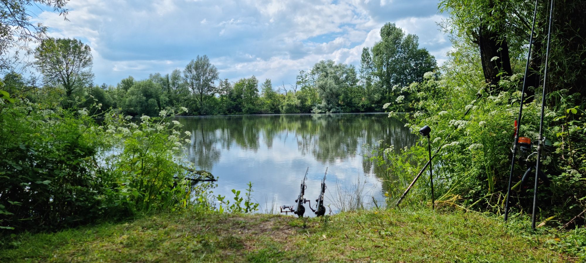 wp-17177729349813086992320604551591