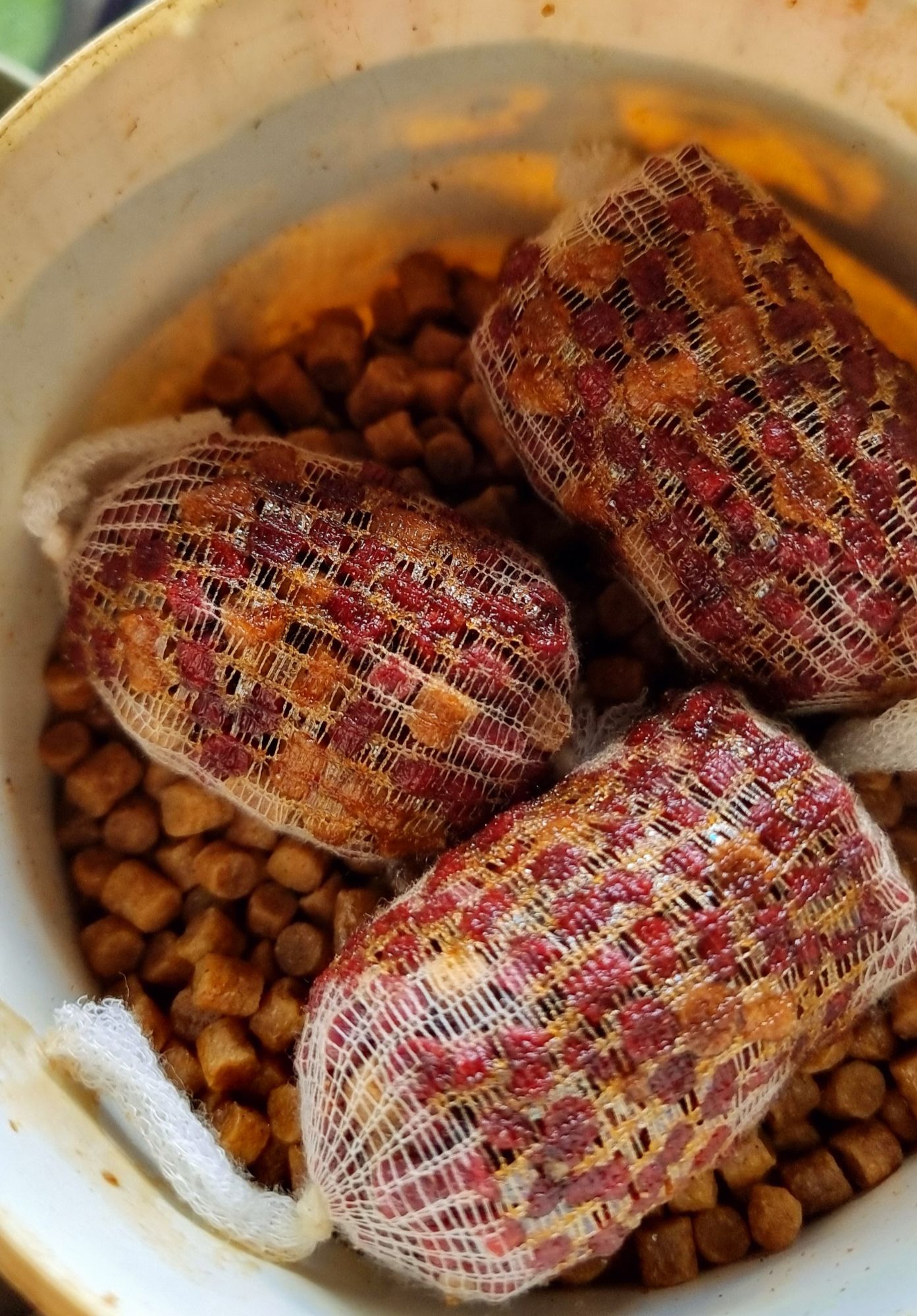 wp-17177729354948821557724547563473