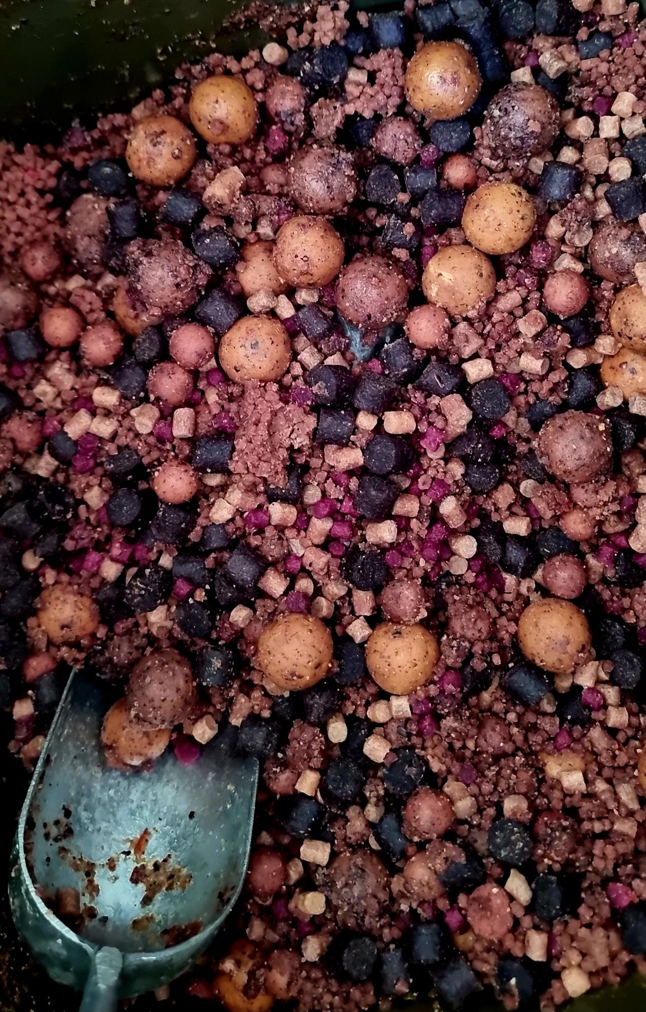 wp-1717772935577561415499055676002