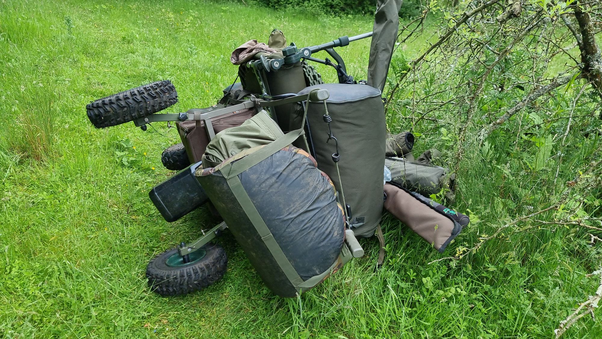 wp-17177729364282486624933878575600