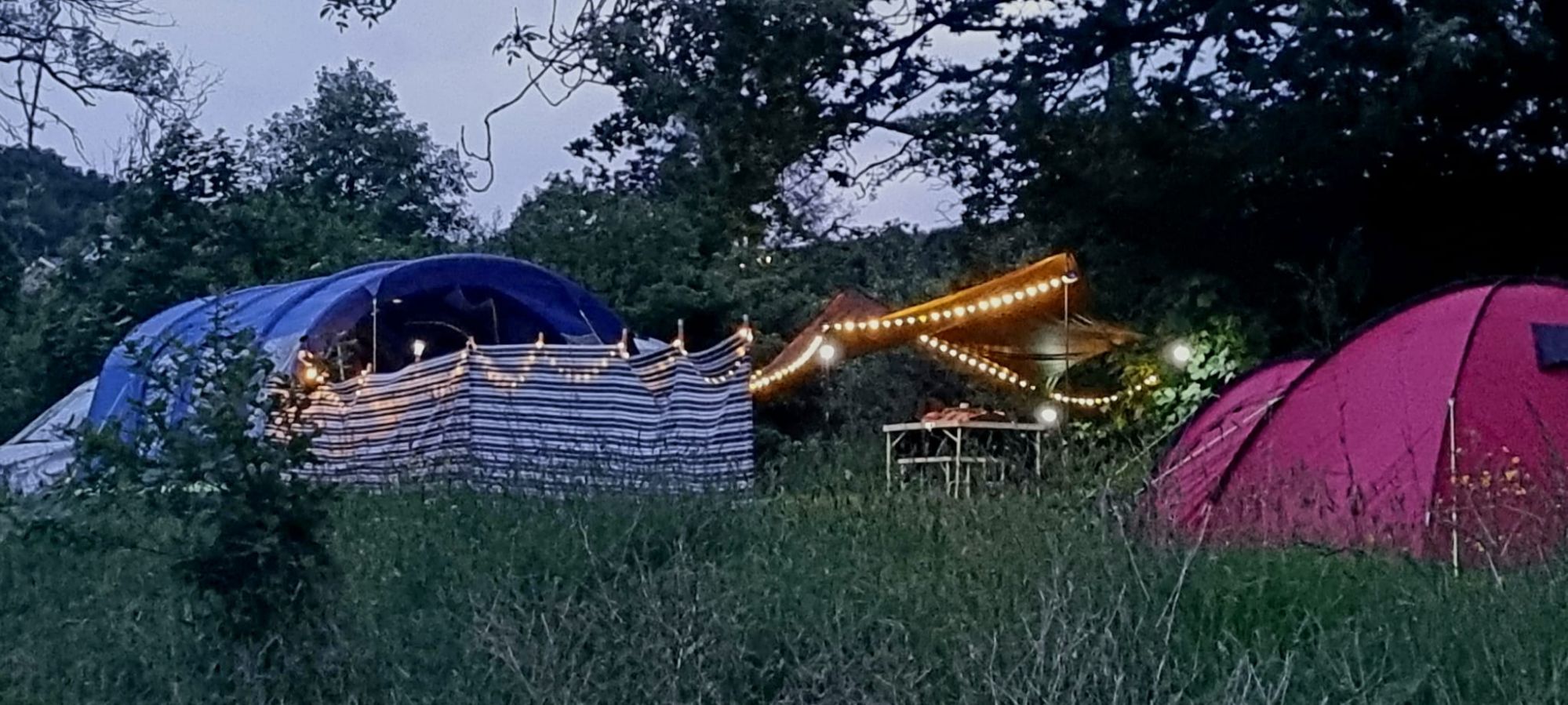 wp-17177731902812012296272410236608