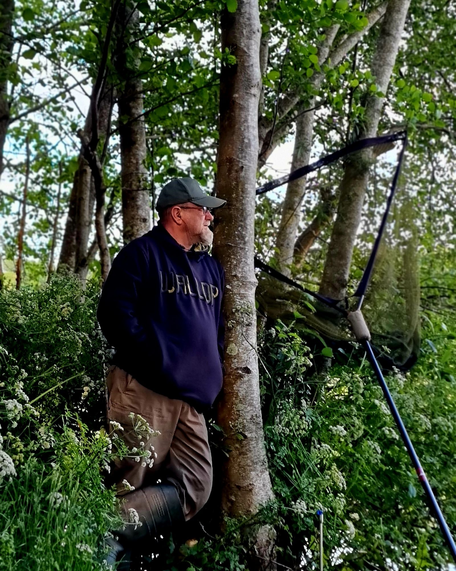 wp-171835203508183098333396553232