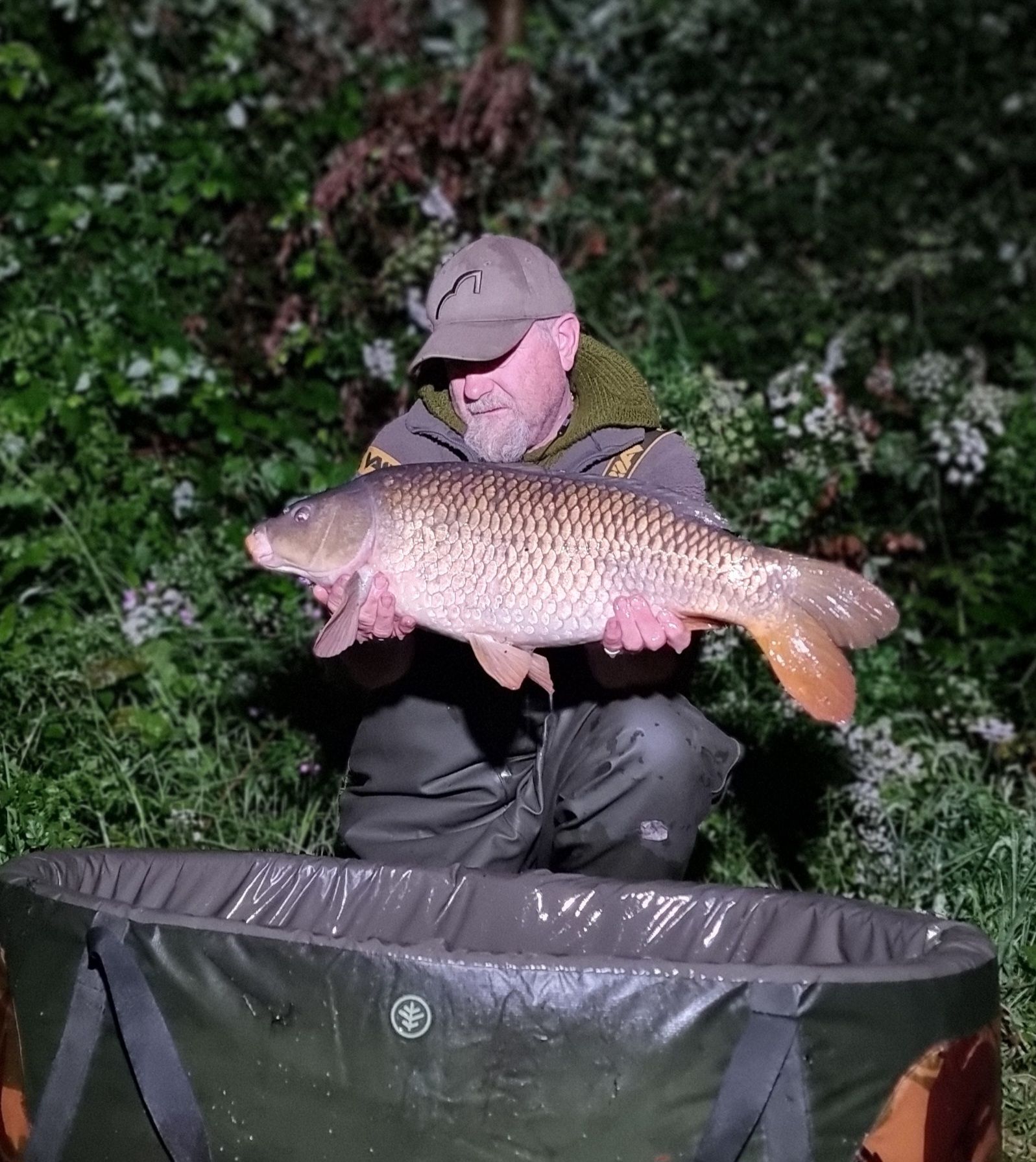 wp-17183737259306191308170753954094