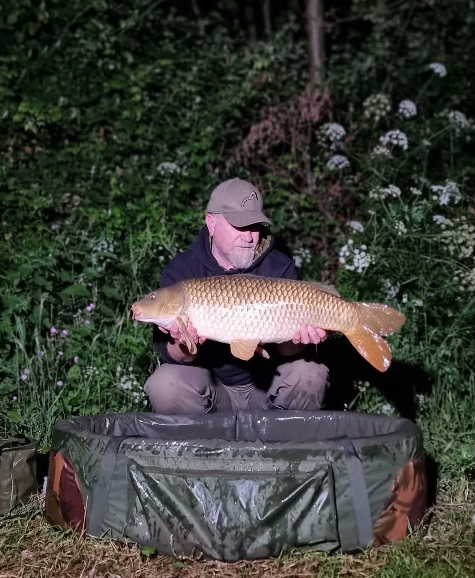 wp-17183737261704758507312990182831