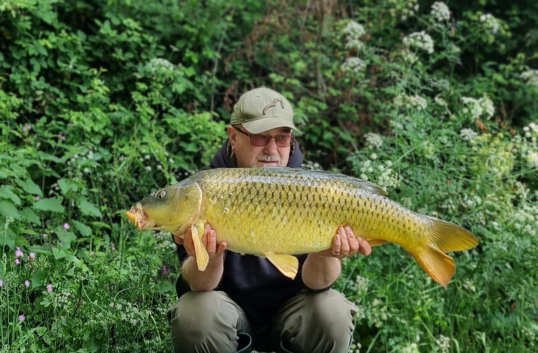 wp-17183737262638077458621148302046