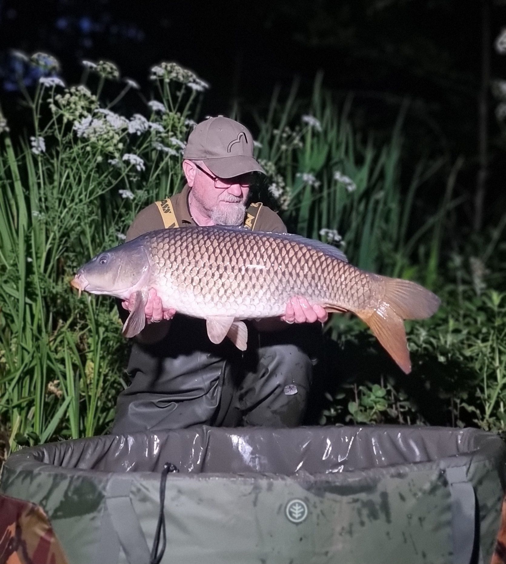 wp-17189702032067438167349556149427