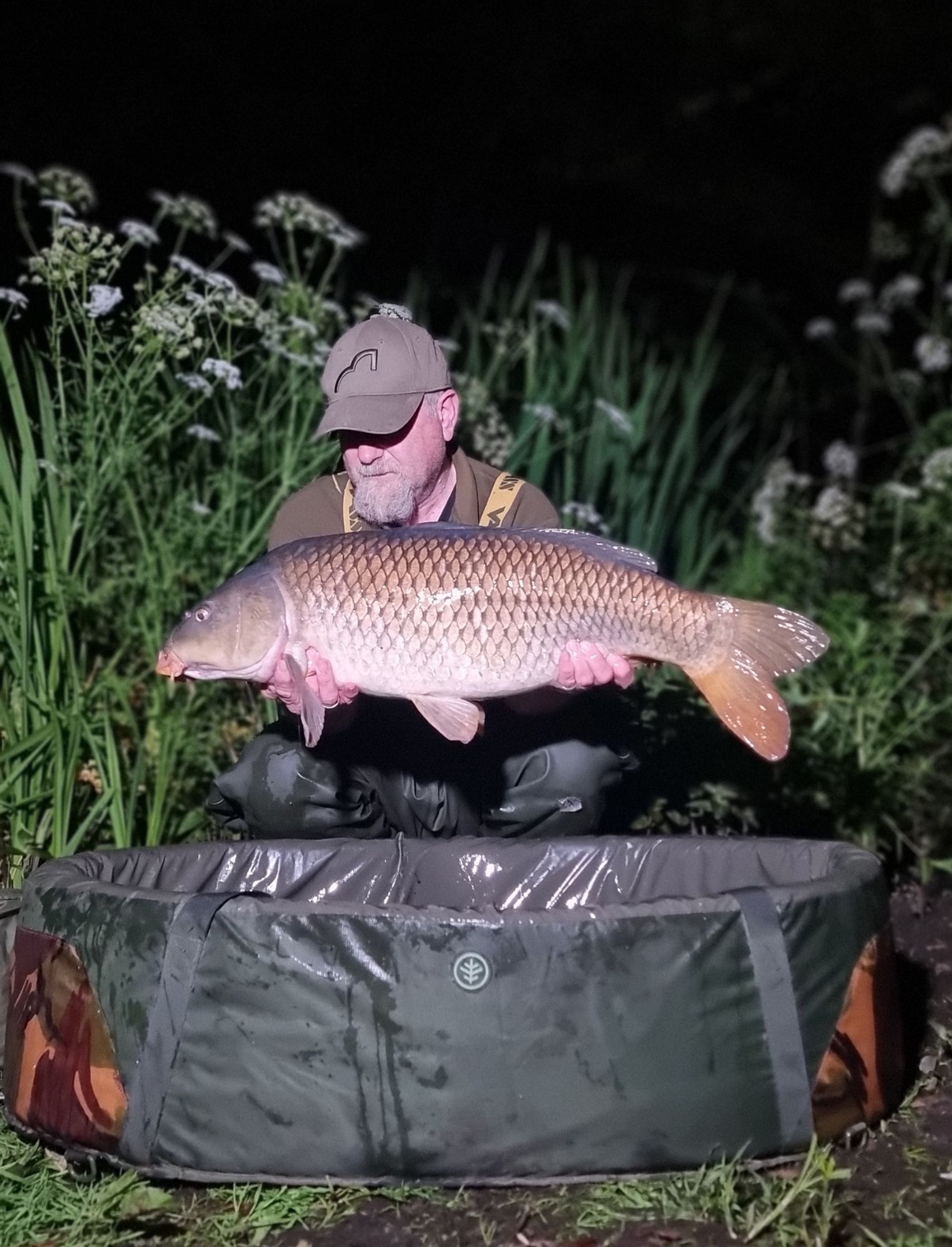 wp-17189702032766214953908738027692