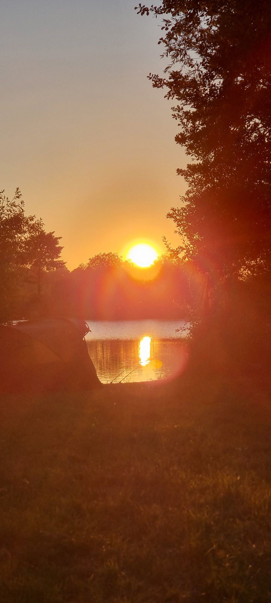 wp-17193185282513660643969518134277