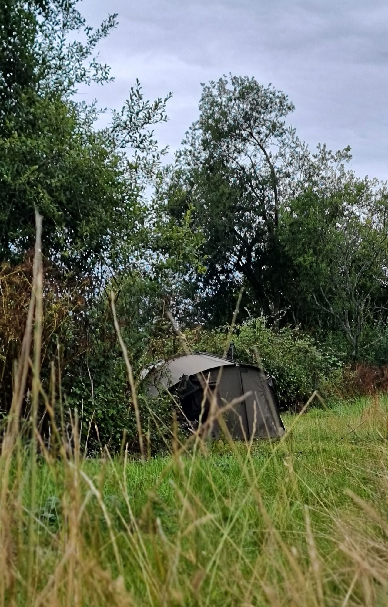 wp-17233052173831818021103419227959