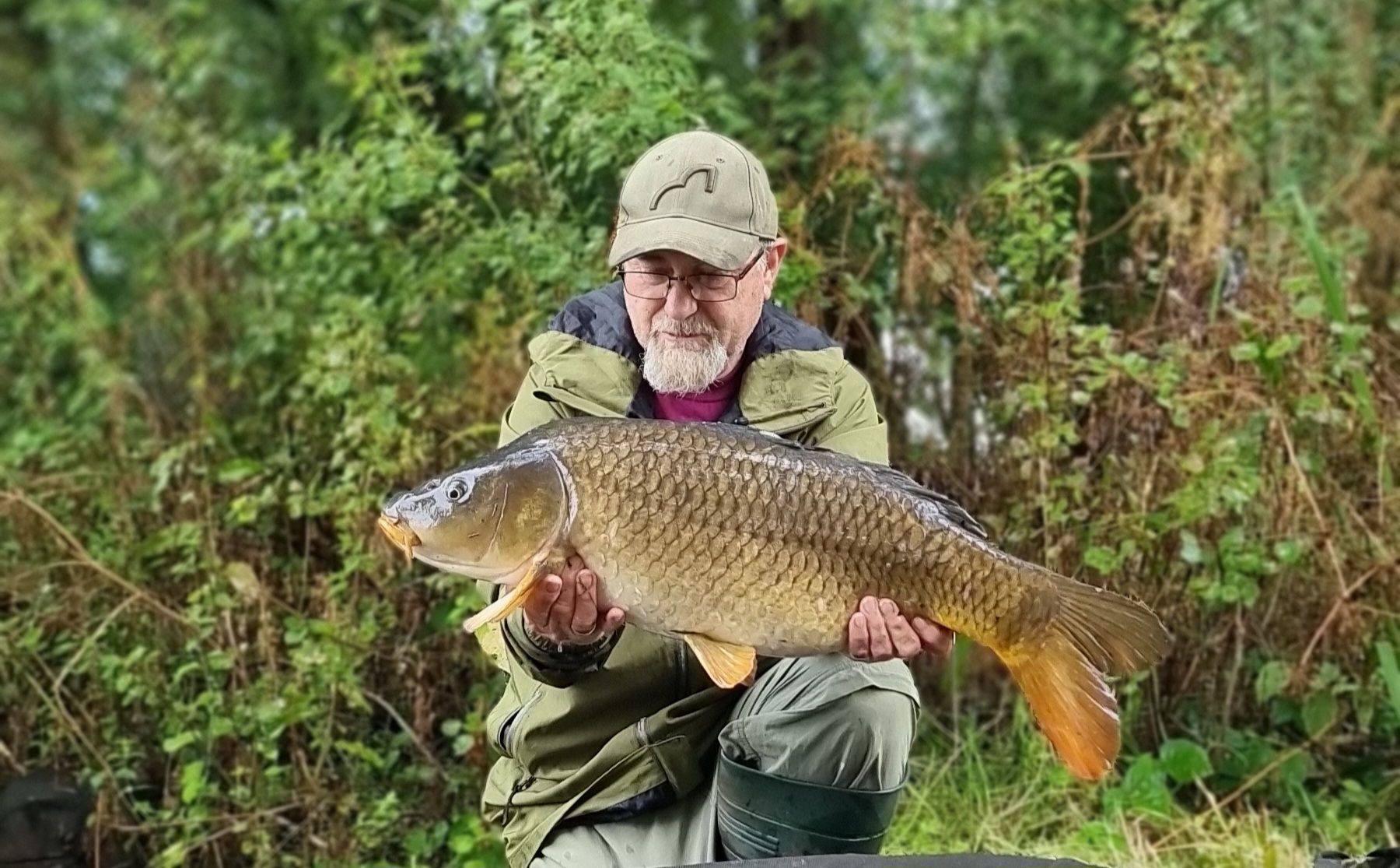 wp-17237172469621633292021875805108