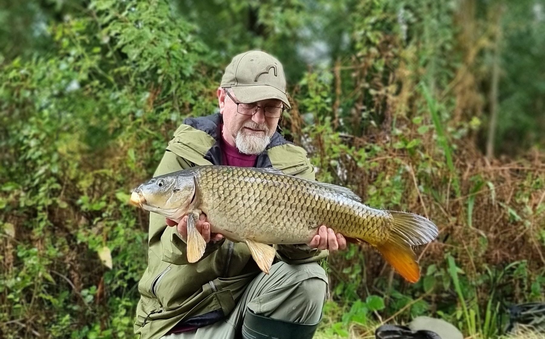 wp-17237172470208730942044757608232