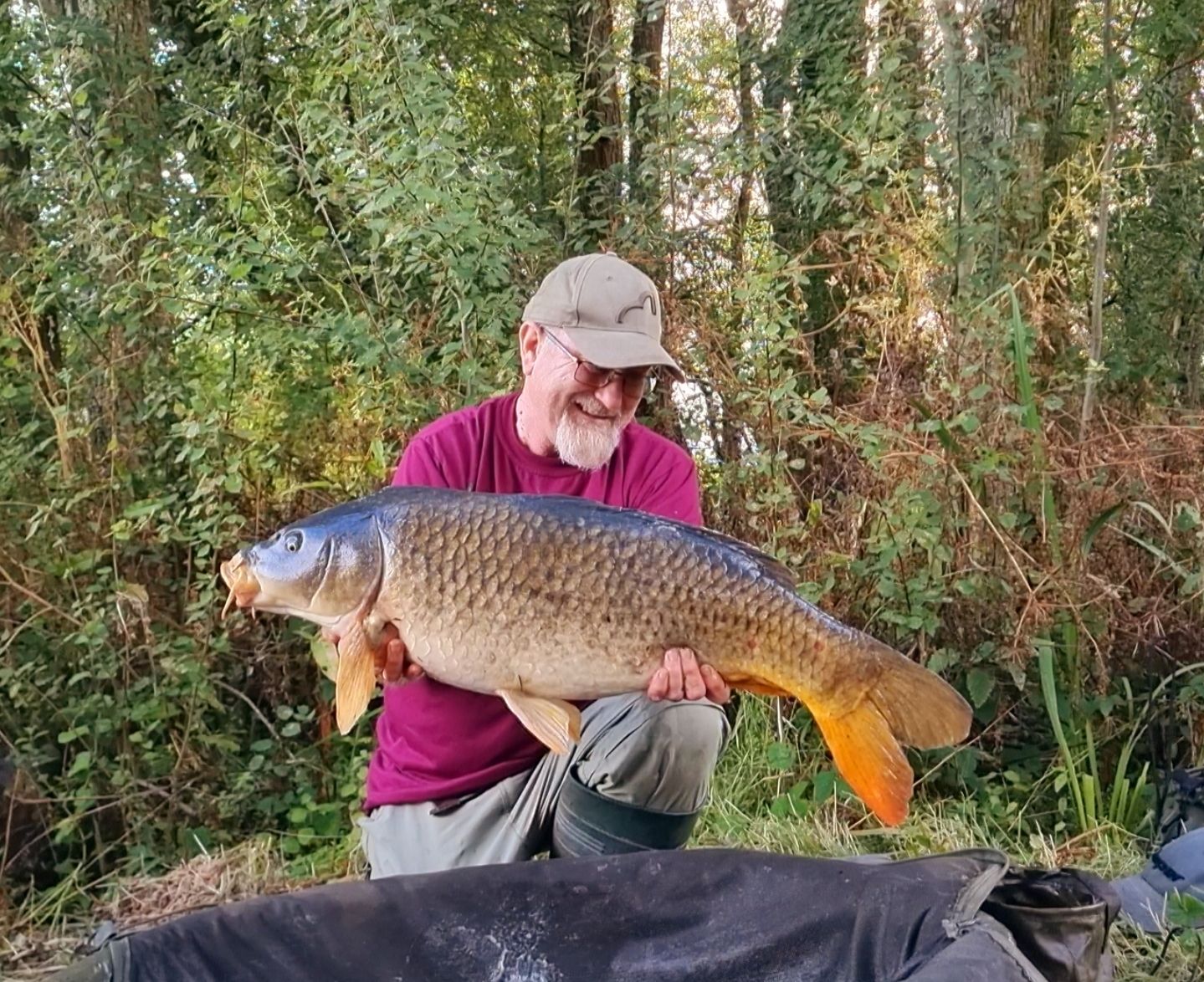 wp-17237172472592307478398071307190