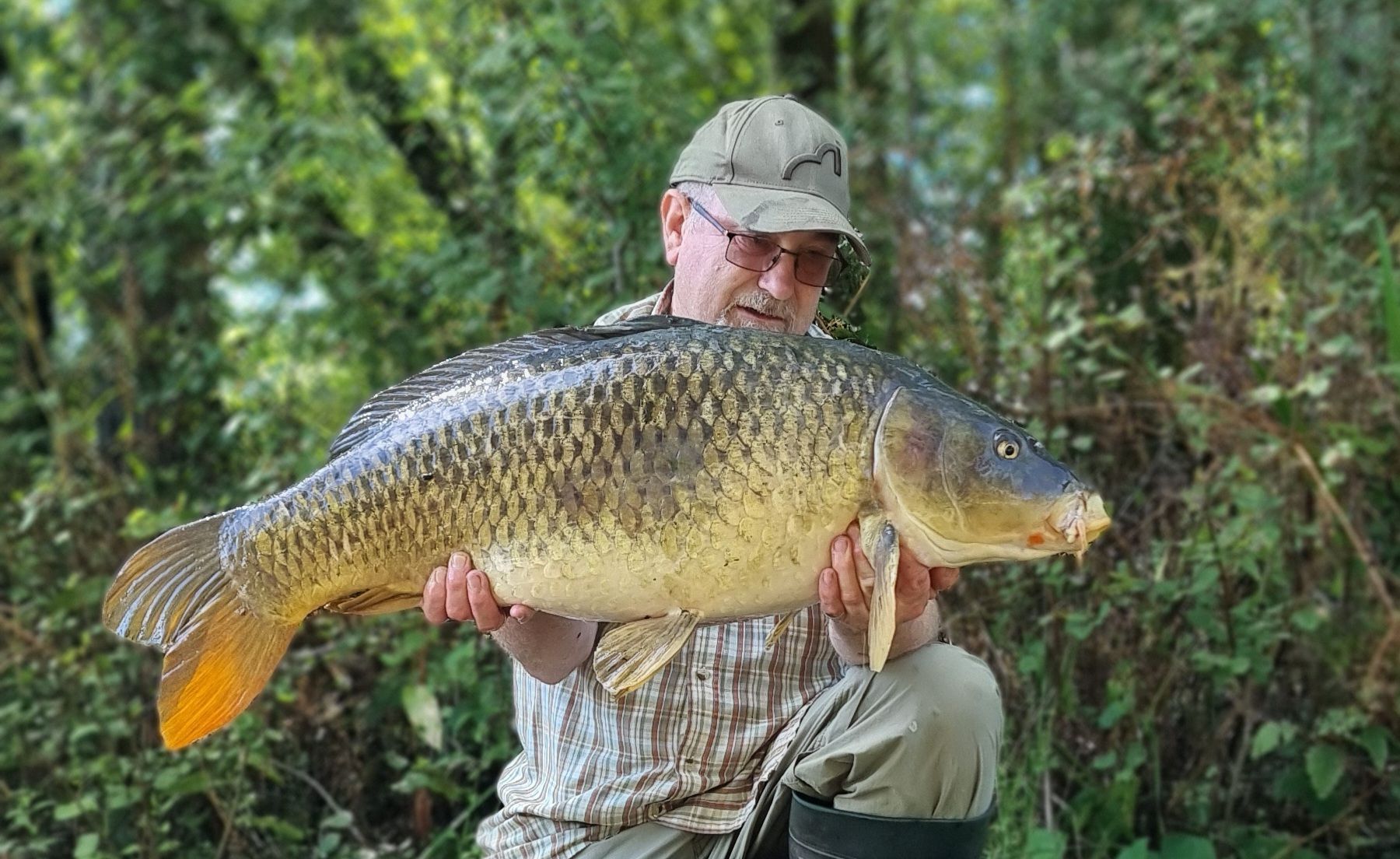 wp-17237172473947527974296504672411