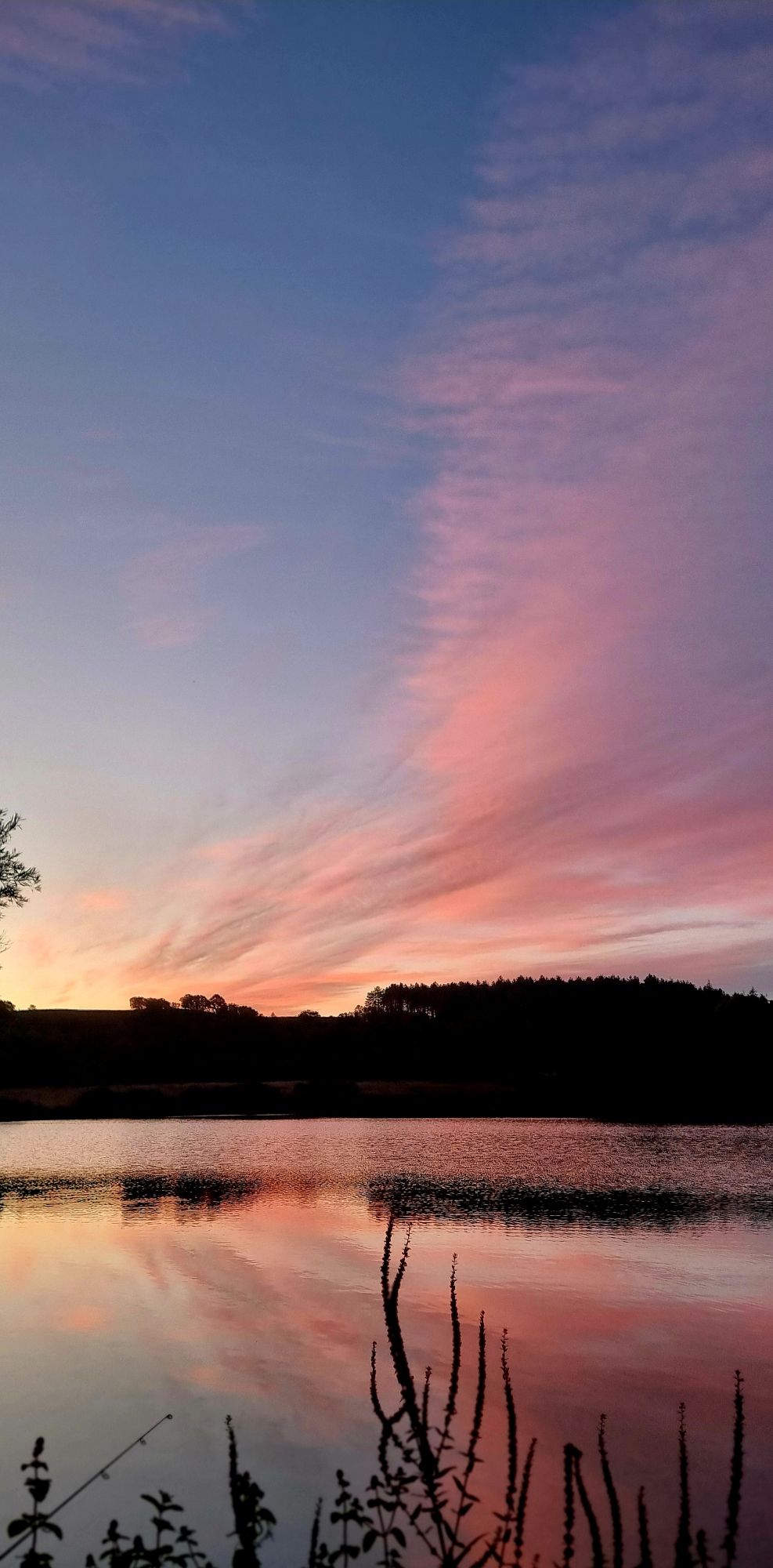 20240911_062355824421677736393274