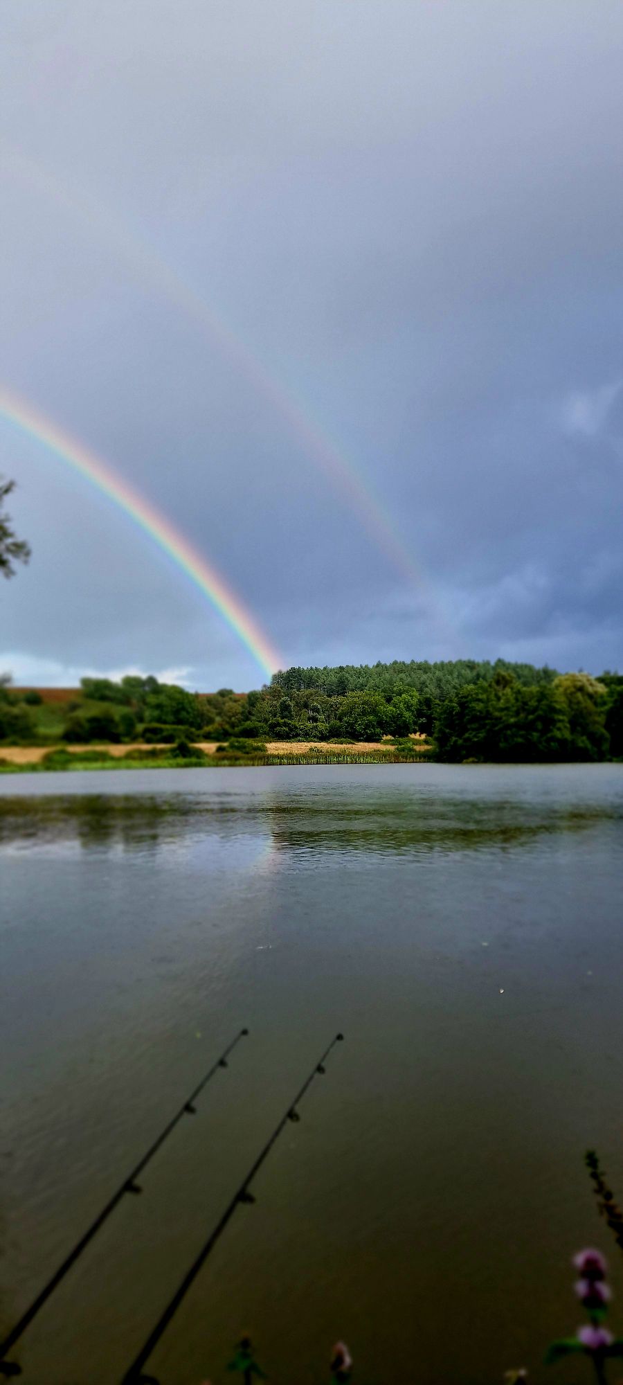 20240911_1742016662669567757915880