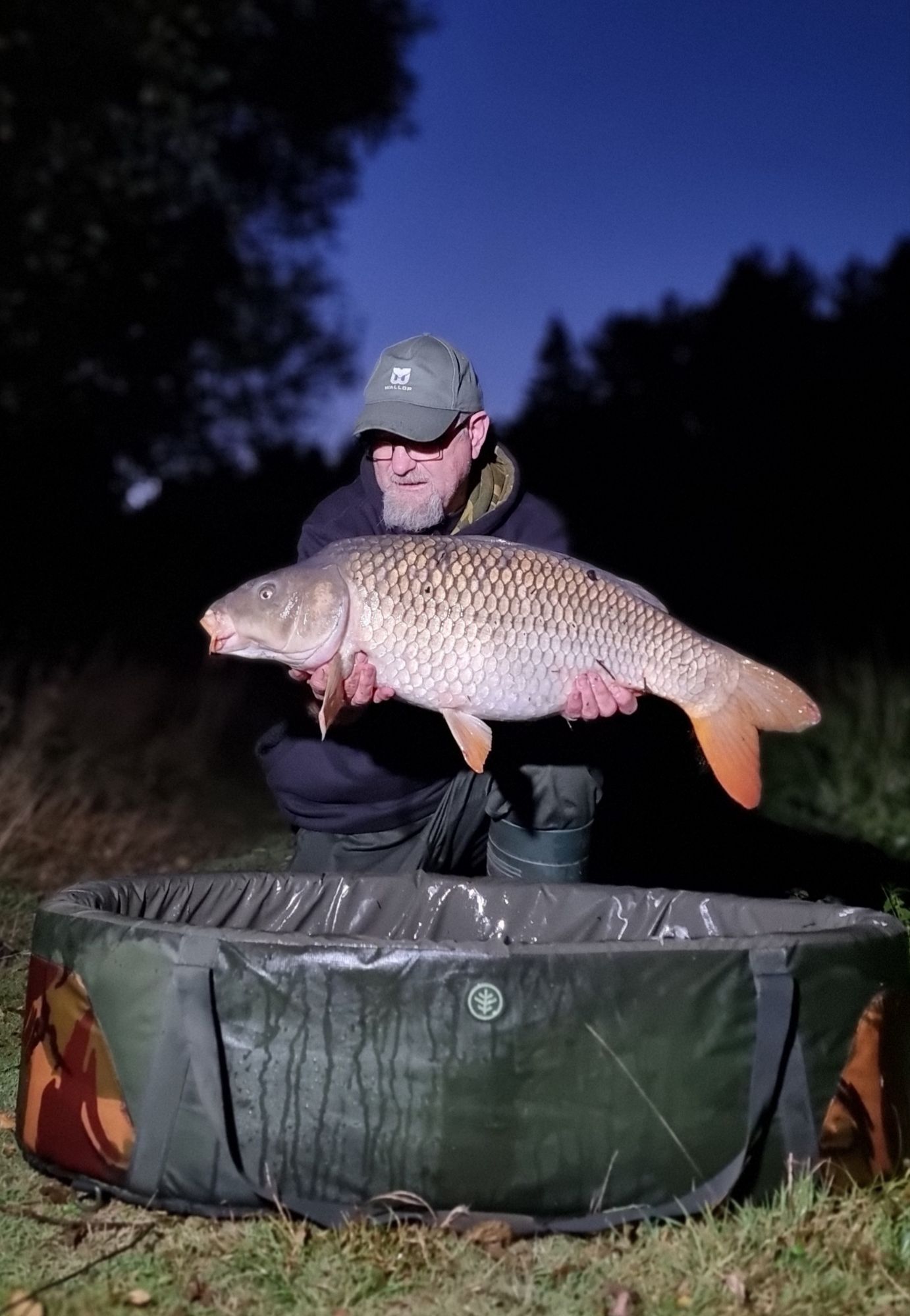 20240918_060412607380402297404036