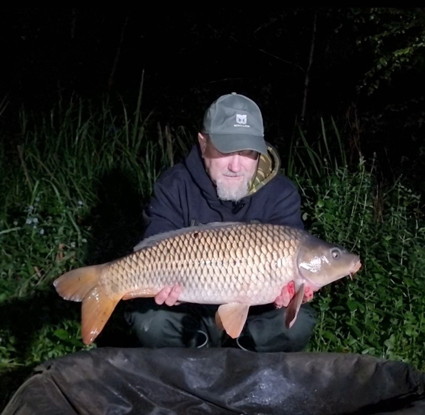 screenshot_20240910_204106_gallery