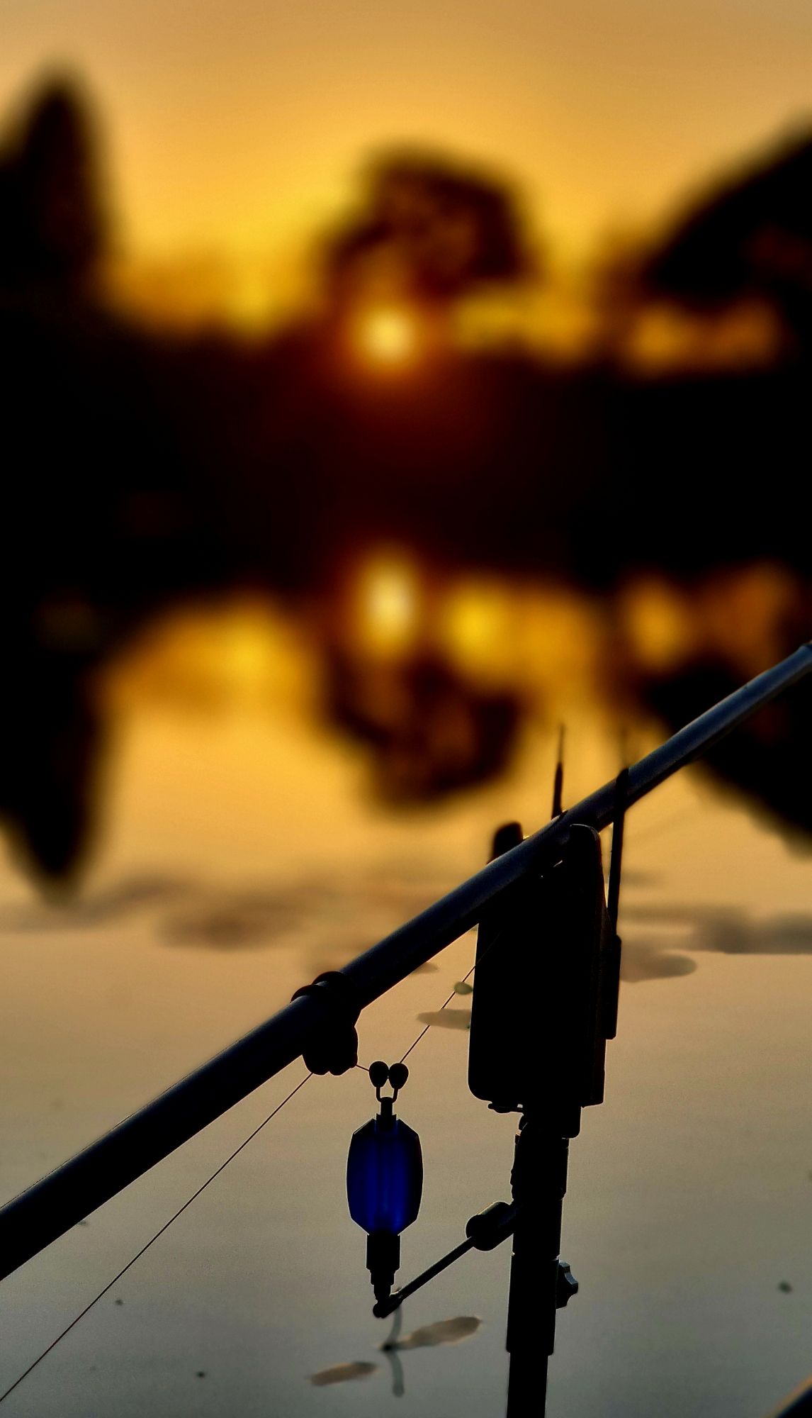 wp-17255332188985736186141062050134