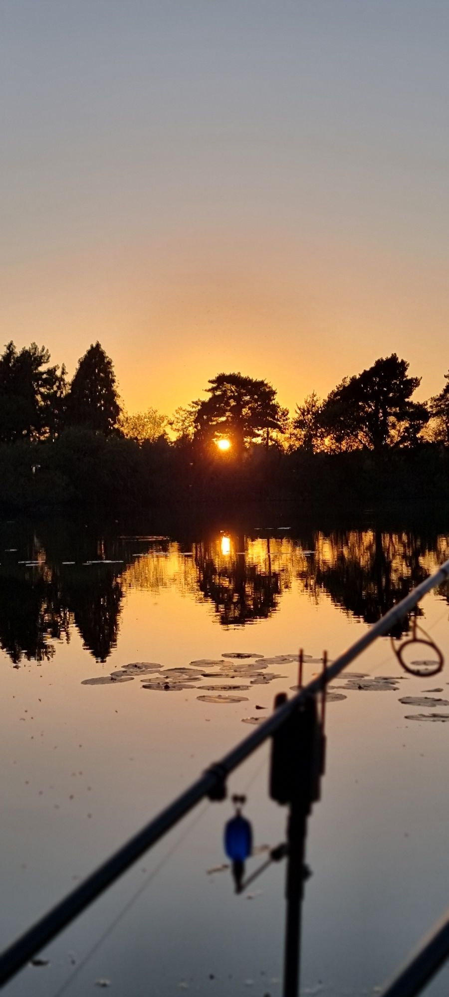 wp-17255332189863887654010203024777