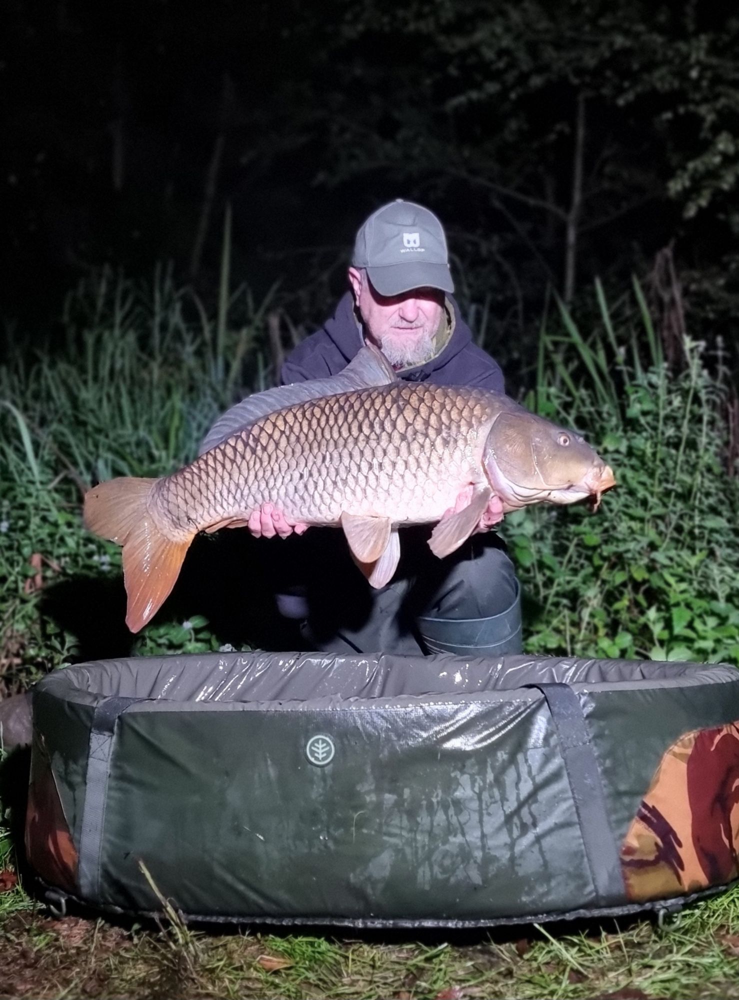 wp-17263000256831552663595153185032