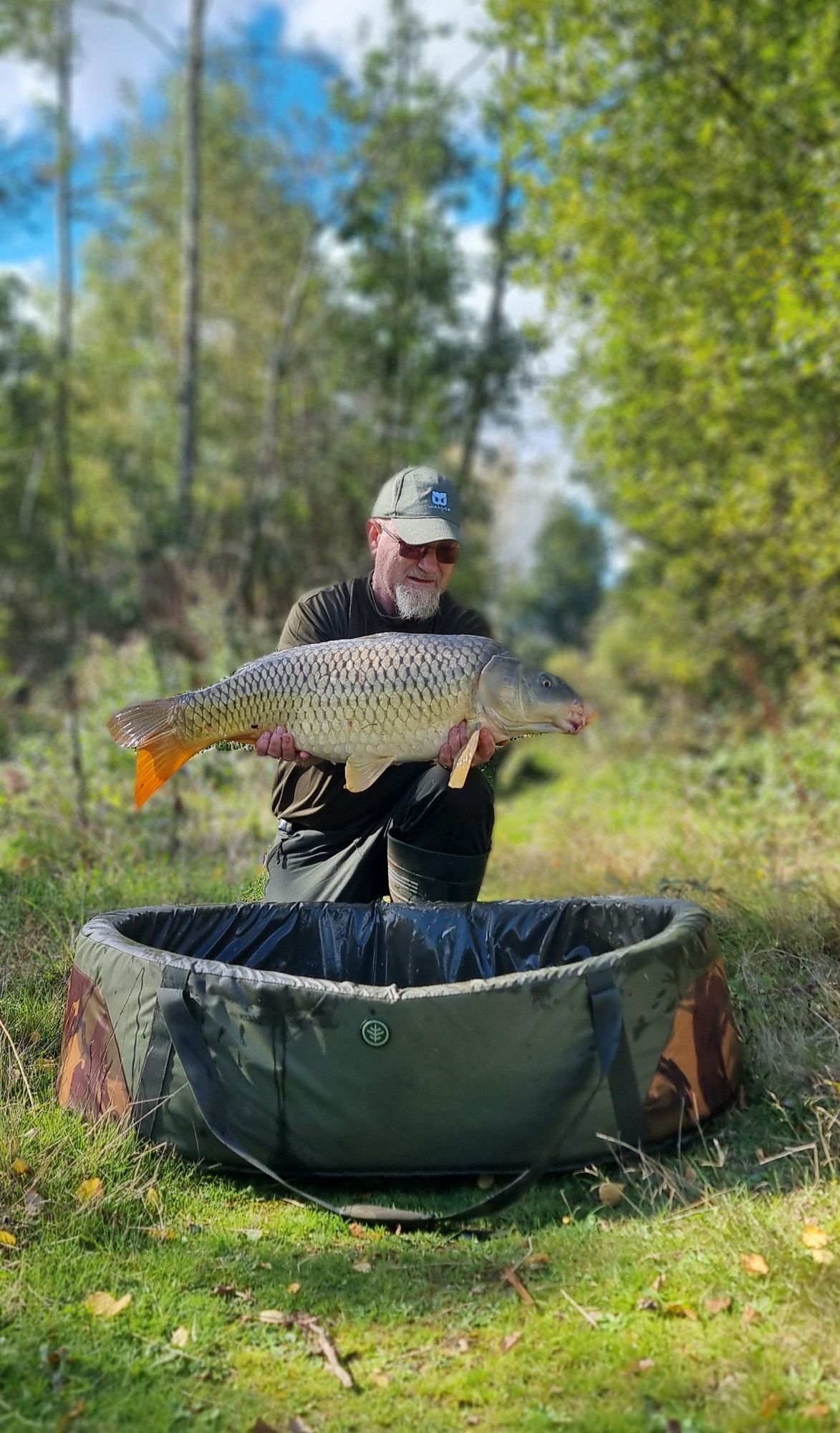 wp-17276055531502731731068880477701