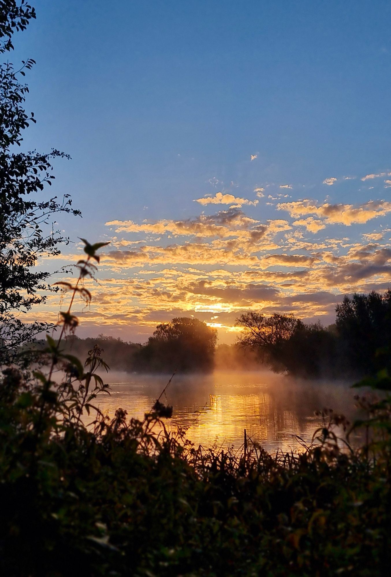 20241003_0733197422829812688100118