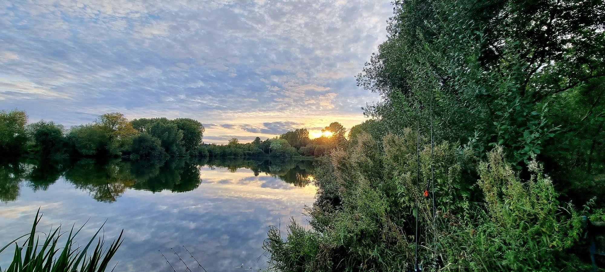 20241004_1748097293923555671177077