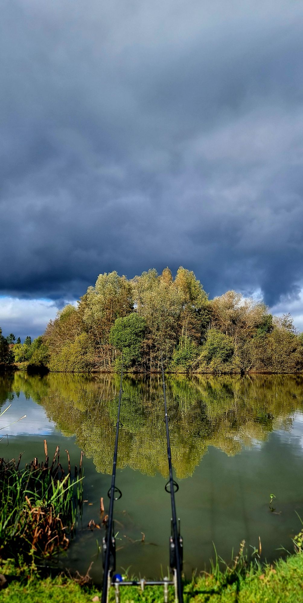 20241029_1237534375716656021898871