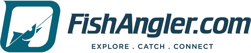 dotcom-standard_preview (1)