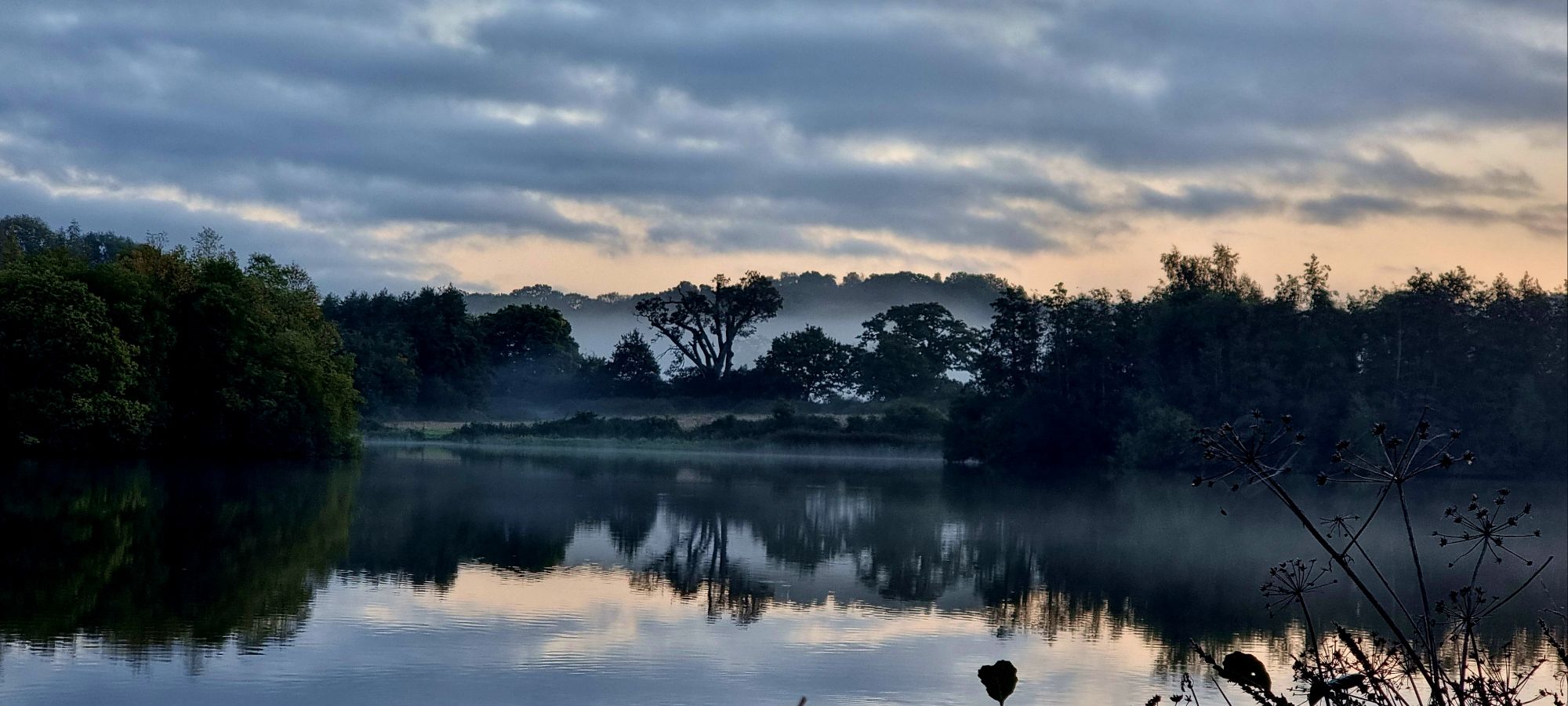 wp-1728716267530533122088526609273