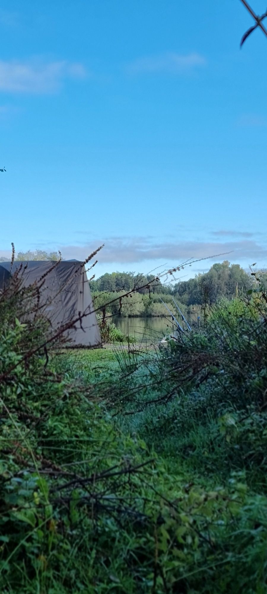 wp-17287162676188693959121379869403