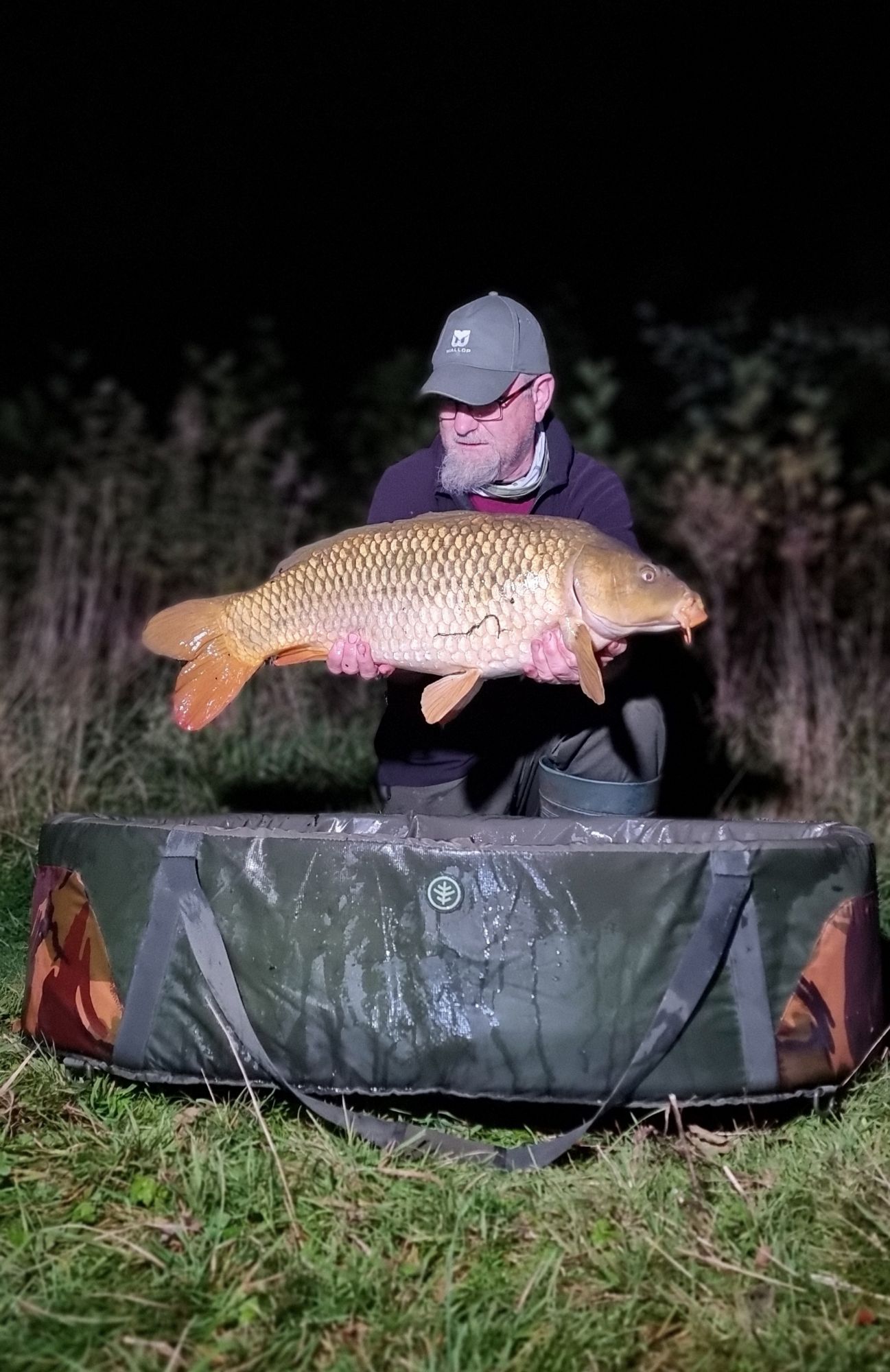 wp-17287288941112745049177322918565