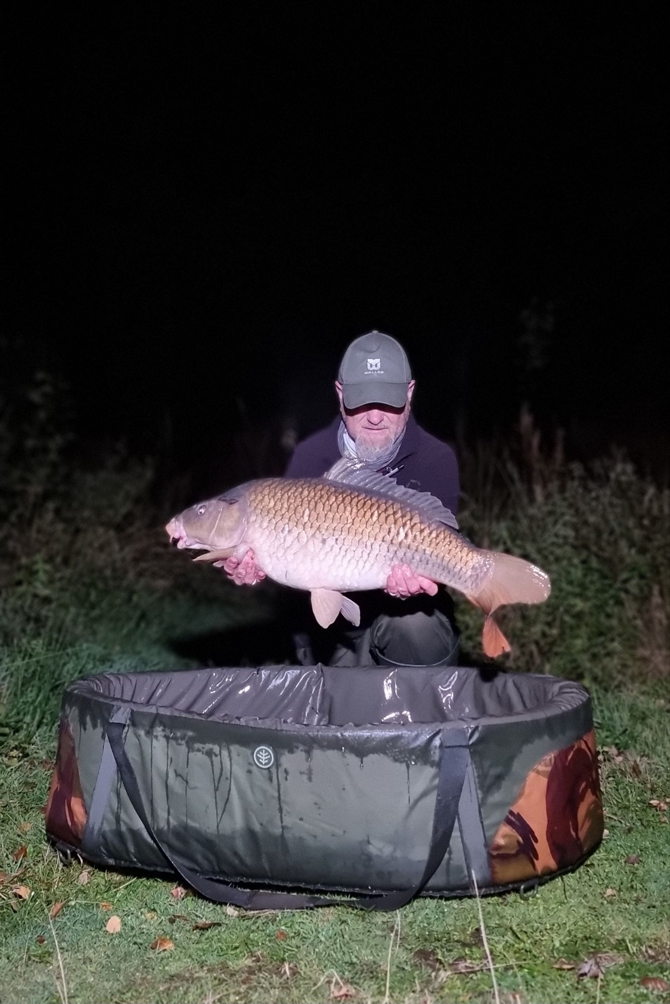 wp-17287288944084343969985625248051