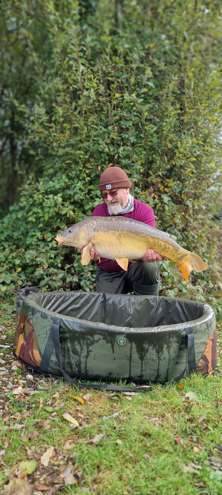 wp-17287288946702079502219365500983