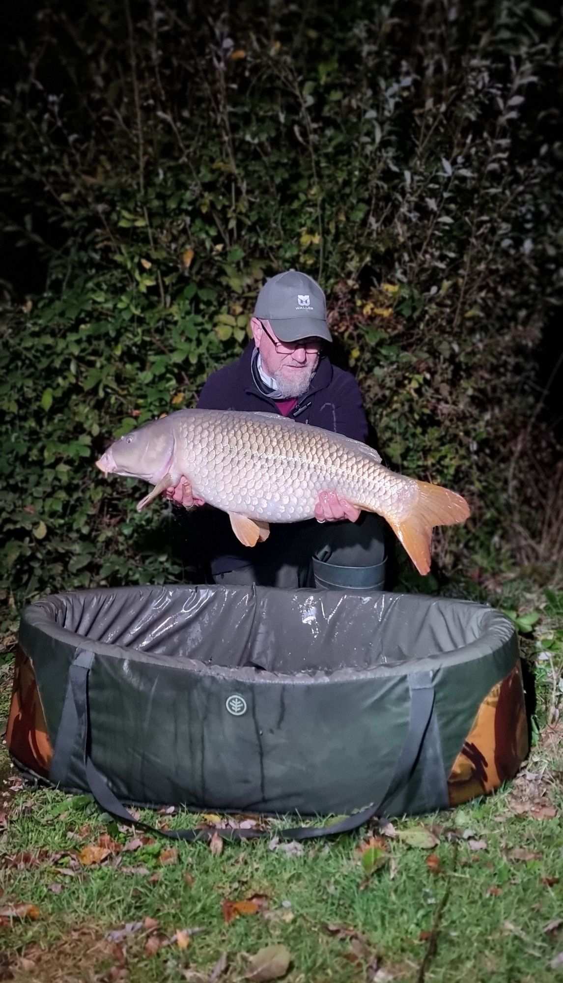 wp-17287288947849036595936316505756