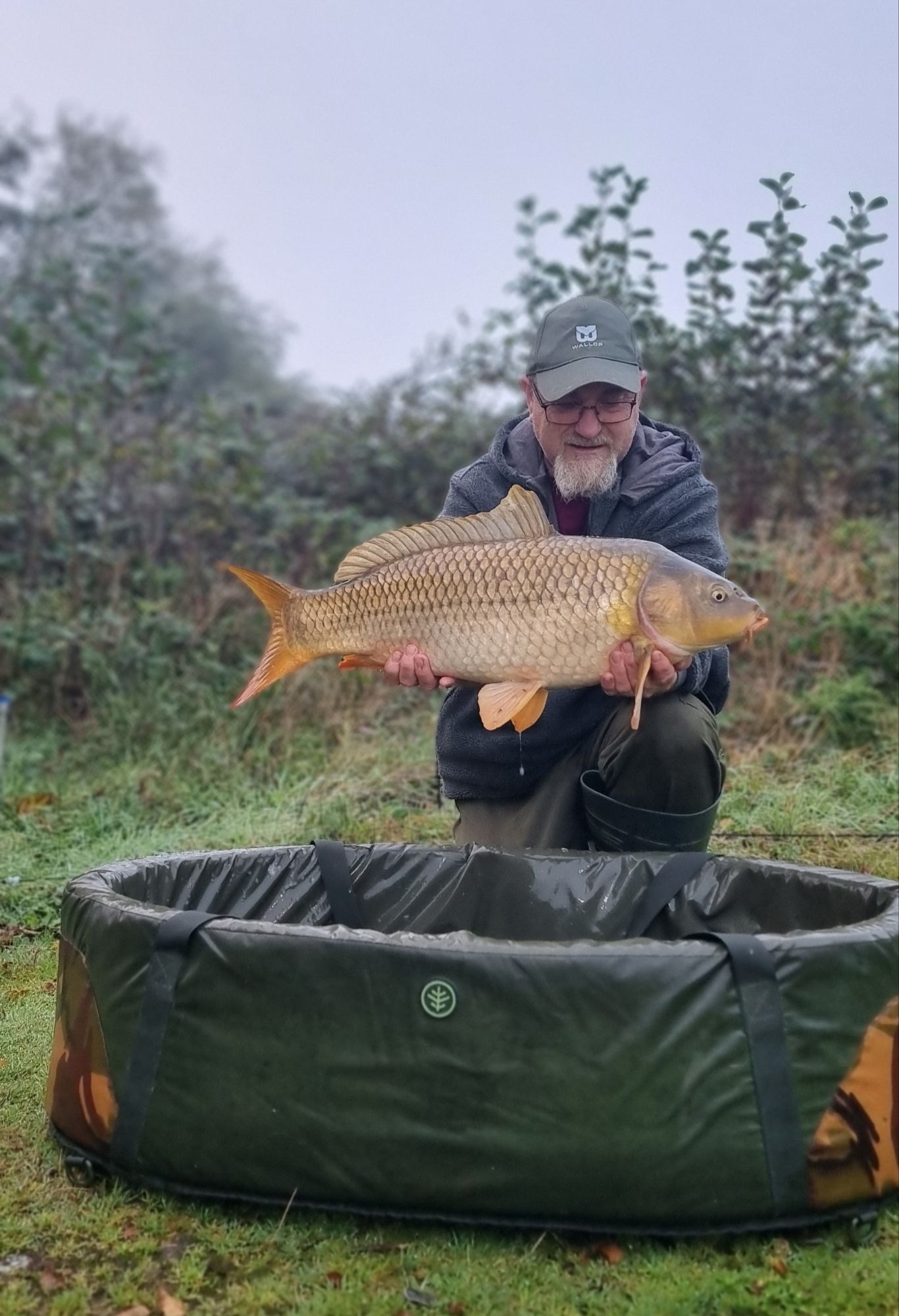 wp-17292504098375868712400223602417