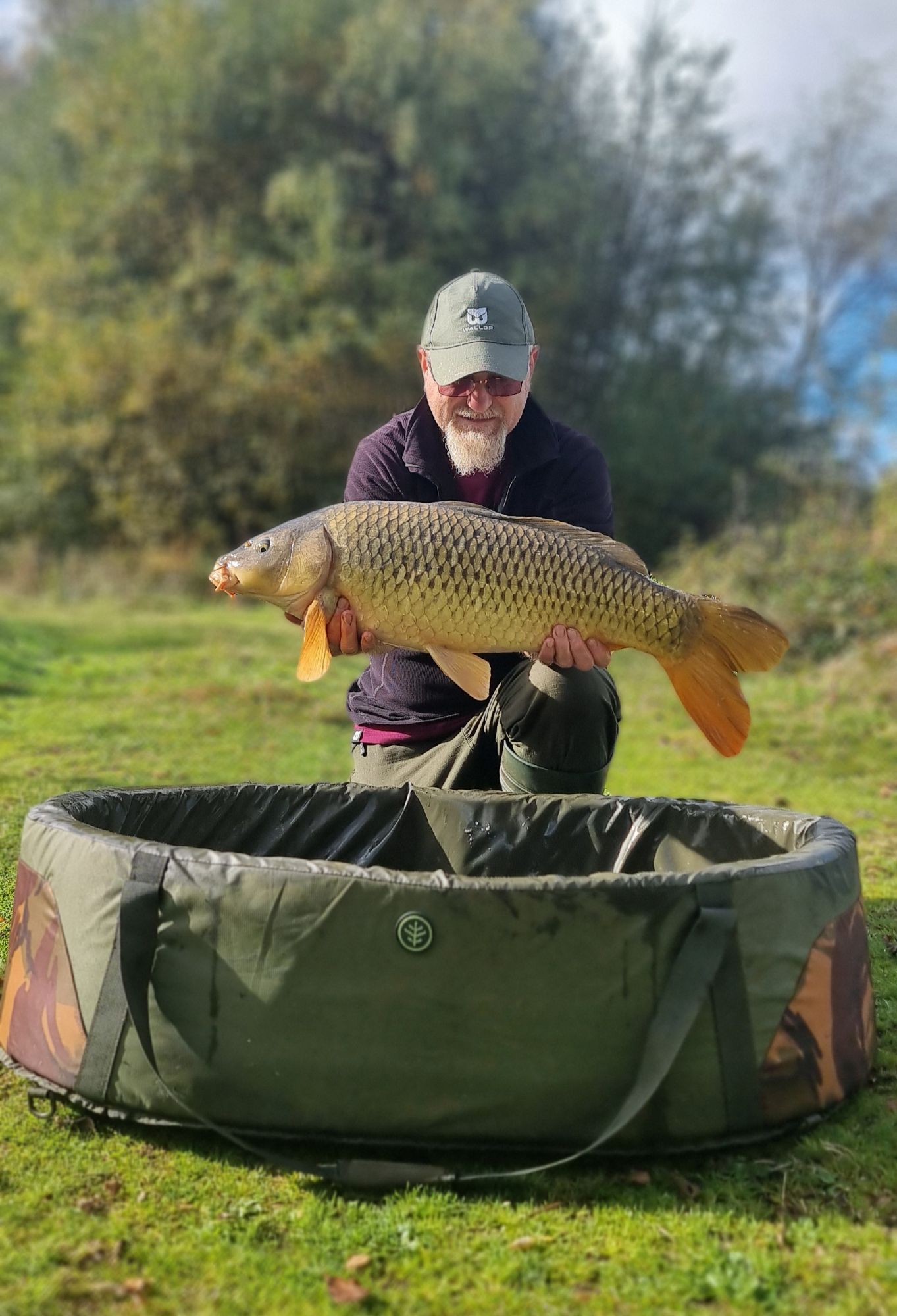 wp-17292504099462518079694006185001